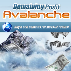 Domaining Profits Avalanche